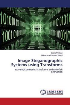 Paperback Image Steganographic Systems using Transforms Book