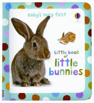 Board book Baby's Very First Little Book of Bunnies Book