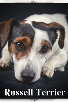 Paperback Russell Terrier: Dog breed overview and guide Book