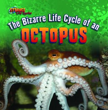 The Bizarre Life Cycle of an Octopus - Book  of the Strange Life Cycles