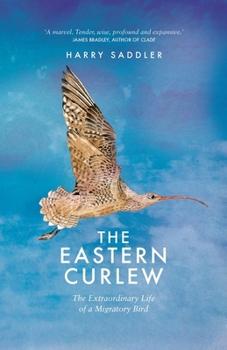 Paperback The Eastern Curlew Book