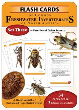 Flash Cards of Common Freshwater Invertebrates of North America Set Three - Families of Other Insects