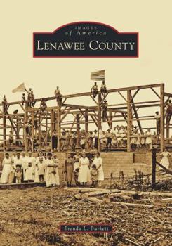 Paperback Lenawee County Book