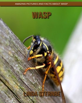 Paperback Wasp: Amazing Pictures and Facts About Wasp Book