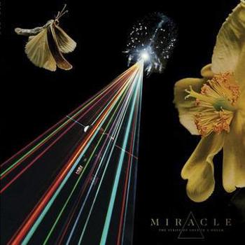 Vinyl Strife Of Love In A Dream Book
