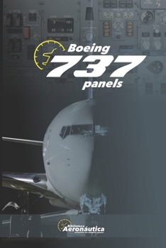 Paperback Boeing 737 panels Book