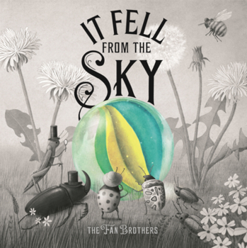 Library Binding It Fell from the Sky Book