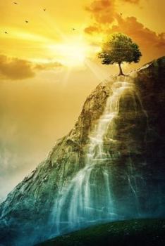 Paperback A Year of Tarot: Daily Card Journaling Book