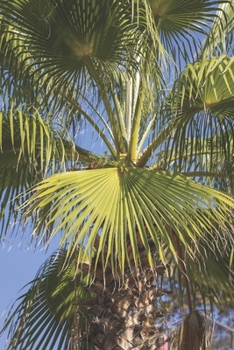 Palm Tree Close-Up Journal: 150 Page Lined Notebook/Diary