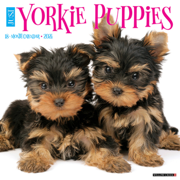 Calendar Just Yorkie Puppies 2024 12 X 12 Wall Calendar Book