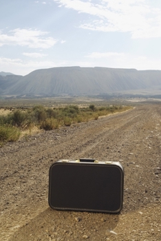 Inside Milestoneville (Milestoneville Collector's Edition Book Series.)