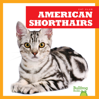 Library Binding American Shorthairs Book