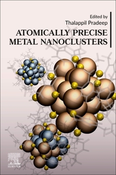 Paperback Atomically Precise Metal Nanoclusters Book