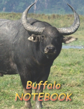 Buffalo NOTEBOOK: Notebooks and Journals 110 pages (8.5"x11")