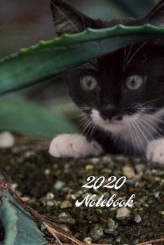 2020 Notebook: A5 (6 x 9 Inches) Notebook Journal Diary. High Quality Hand Writing Journal with 100 Pages