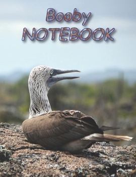 Booby NOTEBOOK: notebooks and journals 110 pages (8.5x11)
