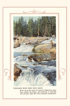 Paperback The Vintage Journal Tuolumne River, Yosemite Book