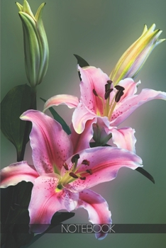 Paperback Notebook: Pink tiger lily on bloom [110 pages]: Pink tiger lily on bloom Book