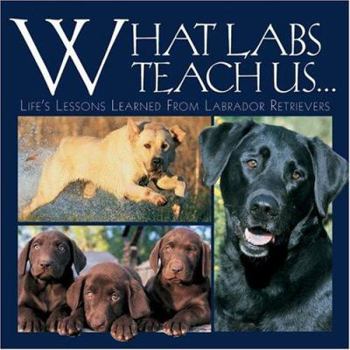Hardcover What Labs Teach Us...: Life's Lessons Learned from Labrador Retrievers Book