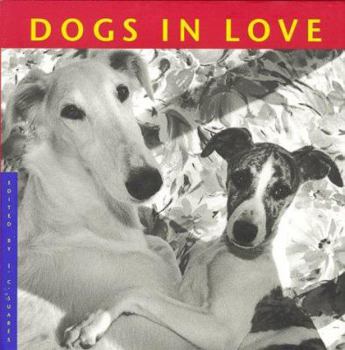 Hardcover Dogs in Love Book