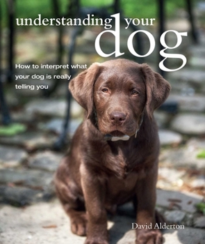 Paperback Understanding Your Dog: How to Interpret What Your Dog Is Really Telling You Book