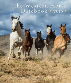 Calendar 2015 Western Horse Desk Datebook Book