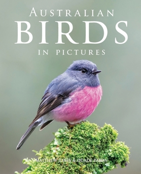 Paperback Australian Birds in Pictures Book