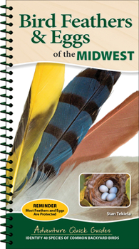 Spiral-bound Bird Feathers & Eggs of the Midwest: Identify 40 Species of Common Backyard Birds Book