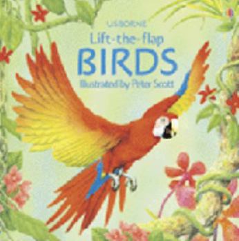 Hardcover Birds Lift the Flap Book