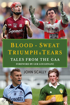 Paperback Blood. Sweat. Triumph & Tears: Tales from the Gaa Book