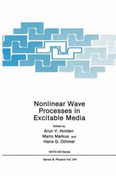 Paperback Nonlinear Wave Processes in Excitable Media Book