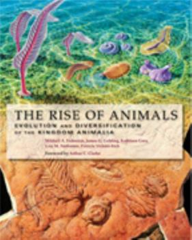 Hardcover The Rise of Animals: Evolution and Diversification of the Kingdom Animalia Book