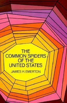 Paperback Common Spiders of the United States Book