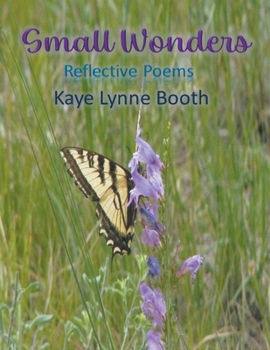 Paperback Small Wonders Book