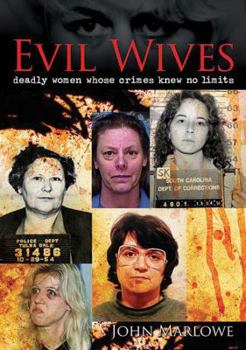 Hardcover Evil Wives Book