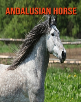 Andalusian Horse: Childrens Book Amazing Facts & Pictures about Andalusian Horse