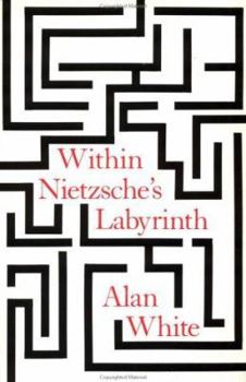Paperback Within Nietzsche's Labyrinth Book