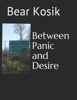Paperback Between Panic and Desire Book