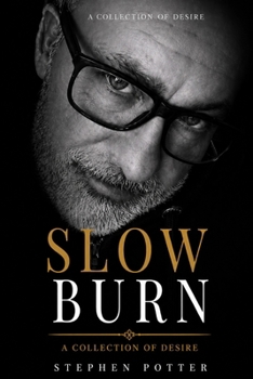 Slow Burn: Dark, addictive stories of dominance, surrender, and raw attraction