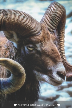 SHEEP! A 2020 Weekly Planner: Cover Sheep: February (Best Laid Plans)
