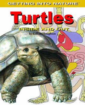 Library Binding Turtles Book