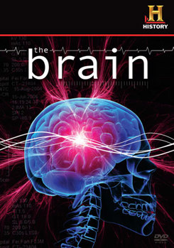 DVD The Brain Book