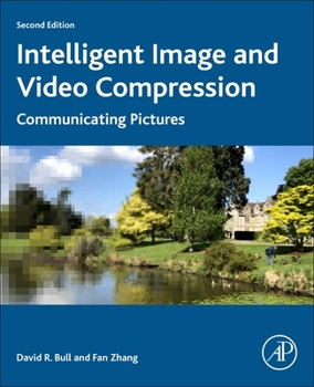 Paperback Intelligent Image and Video Compression: Communicating Pictures Book