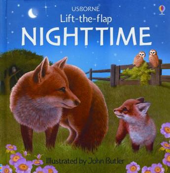 Nighttime - Book  of the Usborne Lift-the-Flap