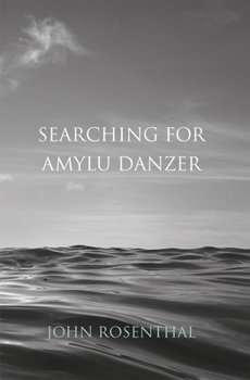 Paperback Searching for Amylu Danzer Book
