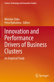Innovation and Performance Drivers of Business Clusters: An Empirical Study
