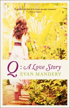 Paperback Q: A Love Story. Evan Mandery Book