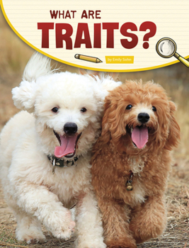 Paperback What Are Traits? Book