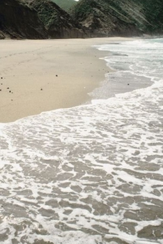 2020 Daily Planner Beach Photo 388 Pages: 2020 Planners Calendars Organizers Datebooks Appointment Books Agendas