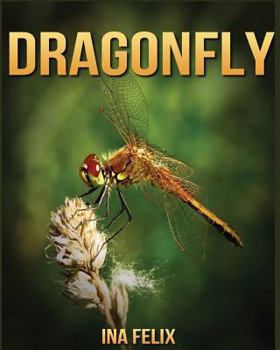 Paperback Dragonfly: Children Book of Fun Facts & Amazing Photos on Animals in Nature - A Wonderful Dragonfly Book for Kids aged 3-7 Book